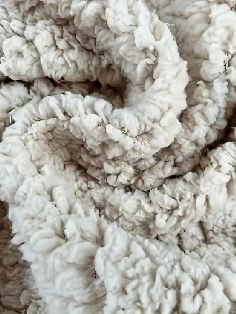 Wren | Elegant enfärgad polotröja med polokrage