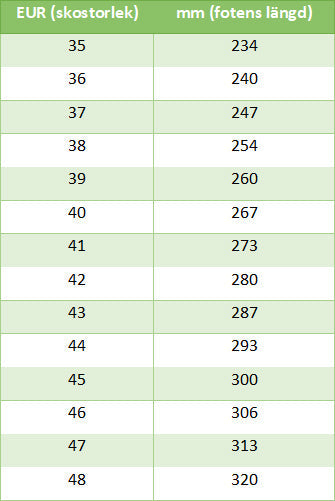 Agnes | Robust och elegant läderkänga